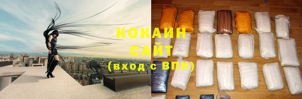 кокс Бородино