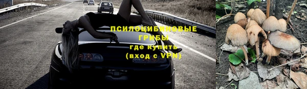 ешки Бугульма