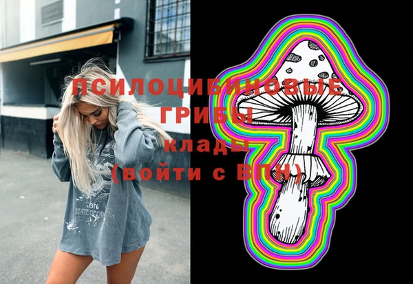 ешки Бугульма