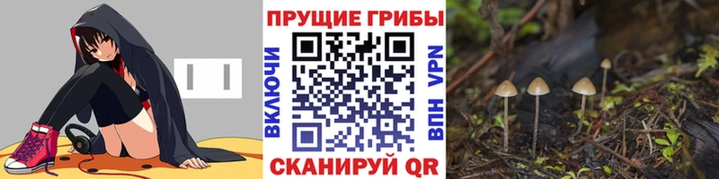 наркотики  Кирово-Чепецк  Псилоцибиновые грибы ЛСД 
